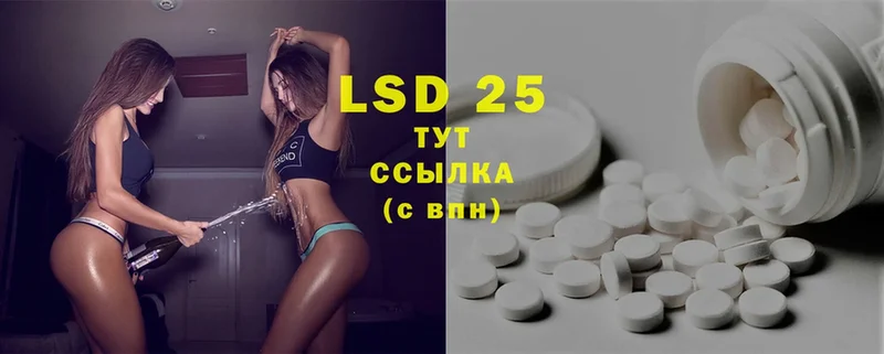 наркошоп  Наволоки  ЛСД экстази ecstasy 